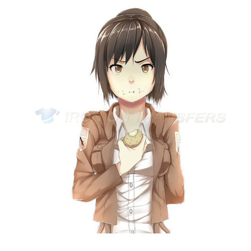 Attack on titan Iron-on Stickers (Heat Transfers)NO.508